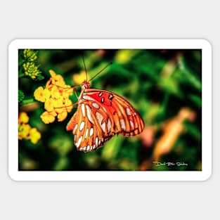 Butterfly Sticker